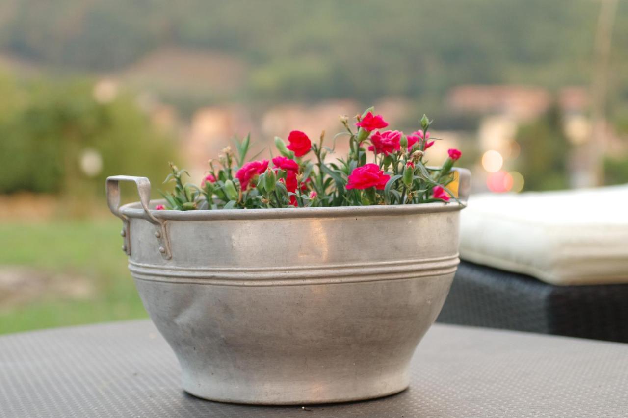 Bed and Breakfast Beb Montefratta Фратта-Терме Экстерьер фото