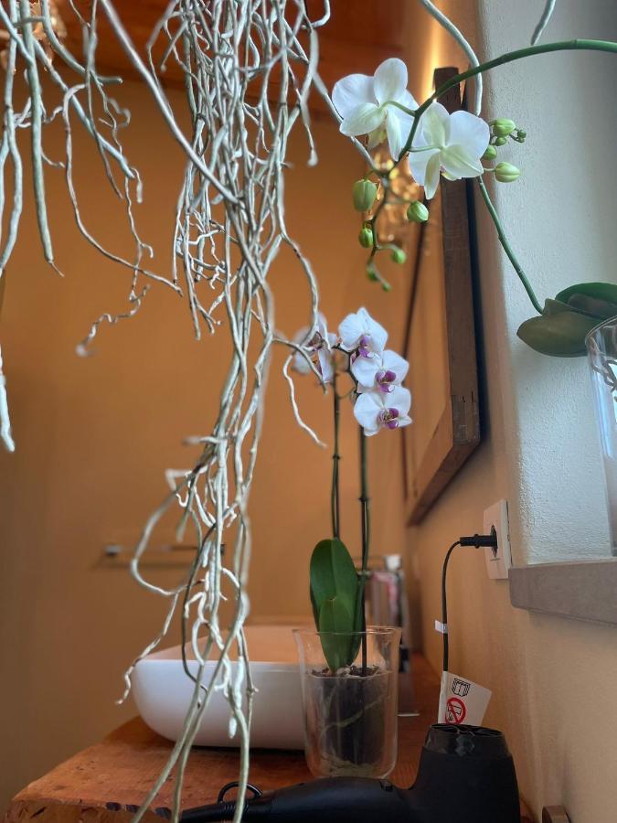Bed and Breakfast Beb Montefratta Фратта-Терме Экстерьер фото