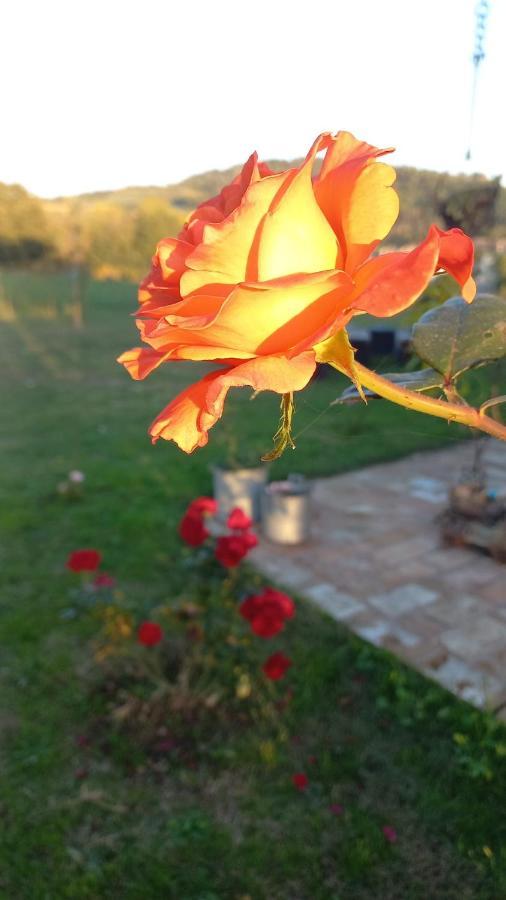 Bed and Breakfast Beb Montefratta Фратта-Терме Экстерьер фото