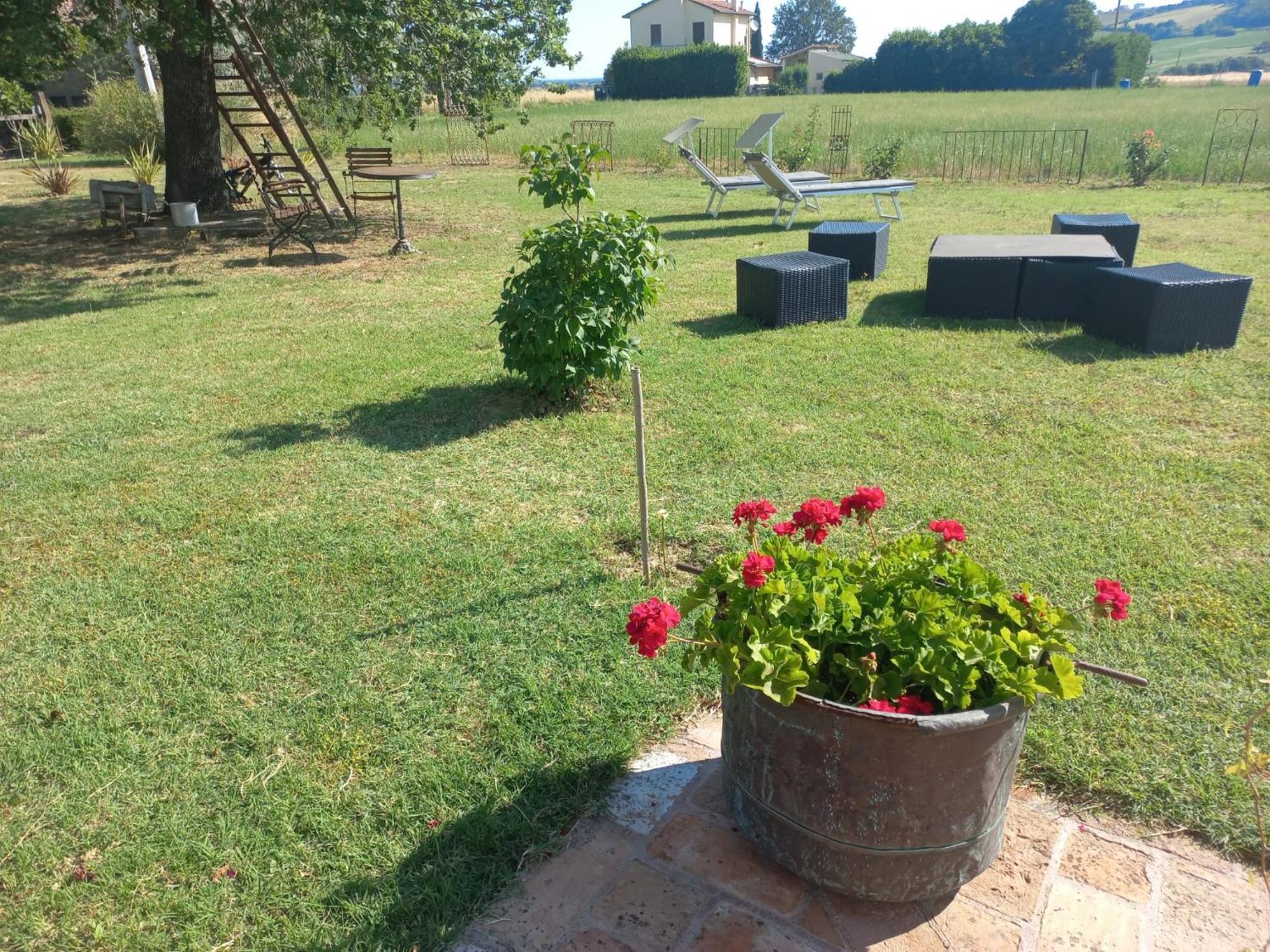 Bed and Breakfast Beb Montefratta Фратта-Терме Экстерьер фото