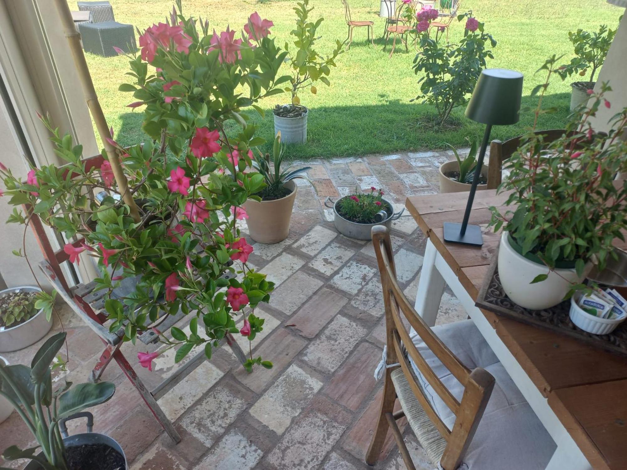 Bed and Breakfast Beb Montefratta Фратта-Терме Экстерьер фото