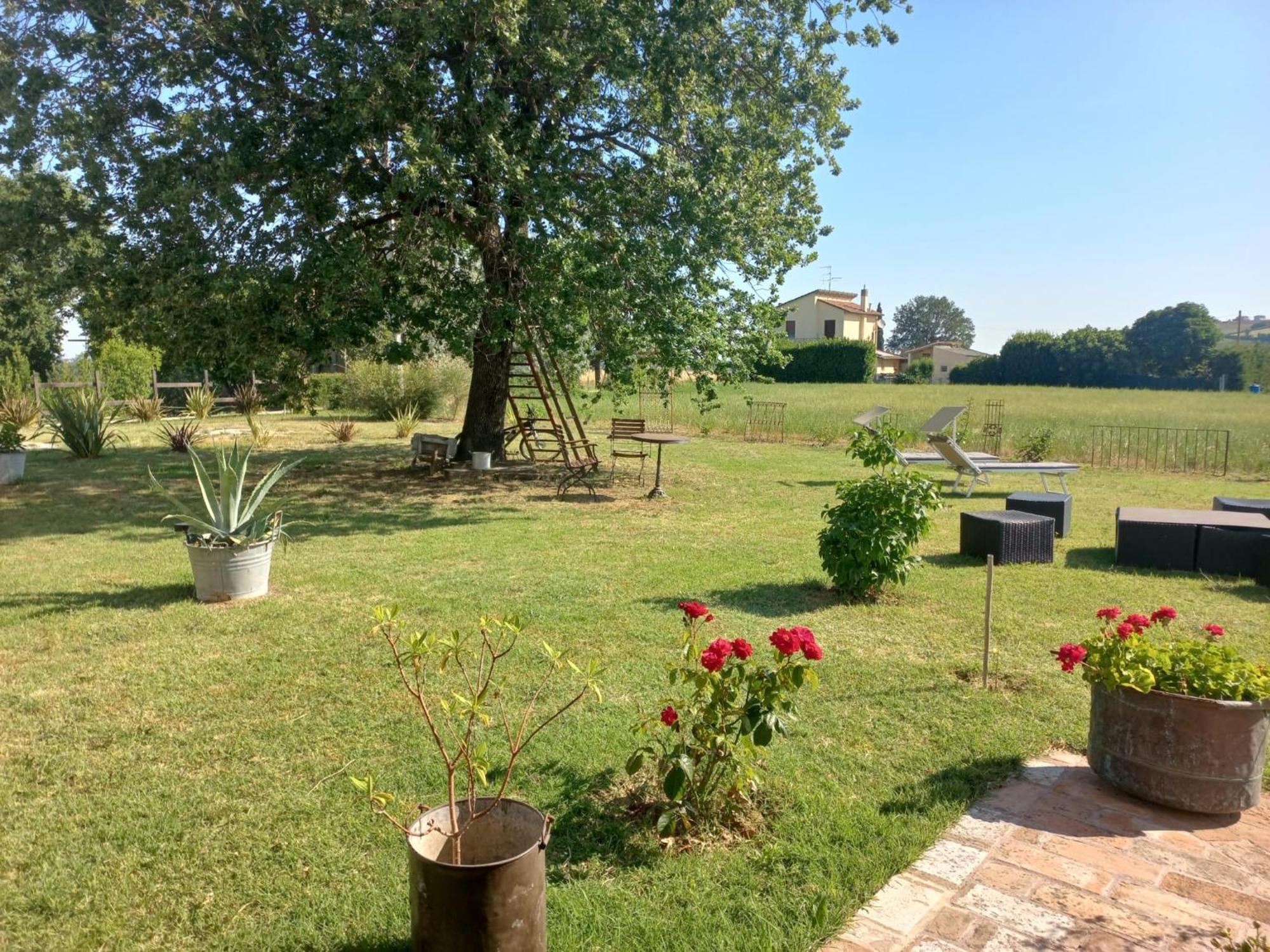 Bed and Breakfast Beb Montefratta Фратта-Терме Экстерьер фото